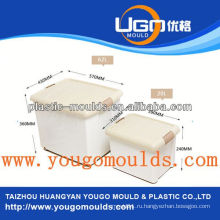 Контейнерная пластиковая форма yougo mold